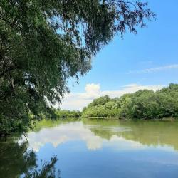 Фото Отель Творческий глэмпинг Скворечник