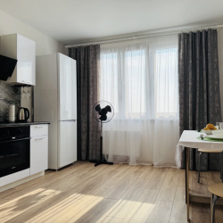 Фото Апартаменты на Пескова