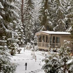 Домик на опушке