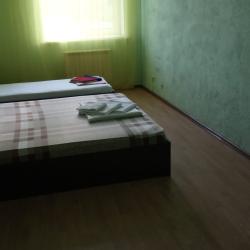 Номер стандарт с 1 двуспальной кроватью и дополнительным местом/ 3 (общие удобства)