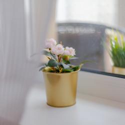 Фото Отель Ka Home (Ка Хоум) на улице Николая Симонова