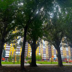 1-комнатные апартаменты люкс с 1 двуспальной кроватью