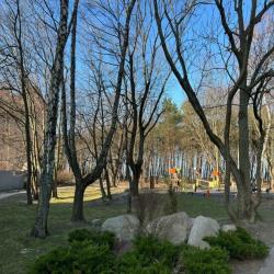 1-комнатные апартаменты стандарт