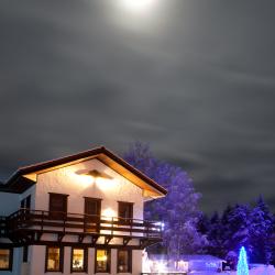 Фото Отель Гардарика