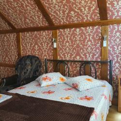 Фото Эдельвейс Эконом отель