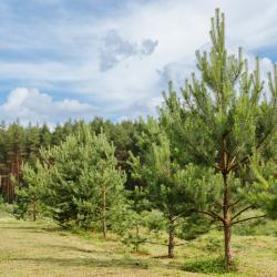 Фото Отель Тутань