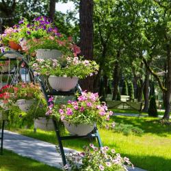 Фото Отель Талка Village (Вилладж)