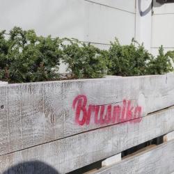 Фото Отель Brusnika (Брусника)