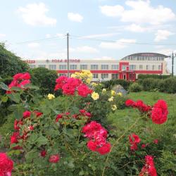 Фото Отель Роза Ветров