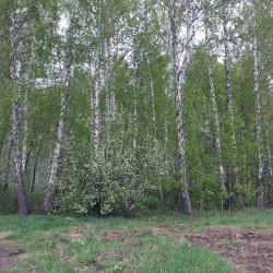 Фото Апартаменты на проспекте Краснопольский 3Д