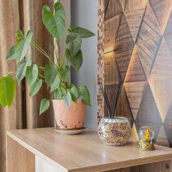 Апартаменты улучшенные