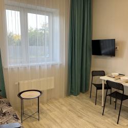 1-комнатные апартаменты улучшенные Академика Губкина 12 б (2 квартира)