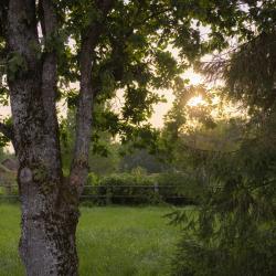 Фото Отель Мятный сад