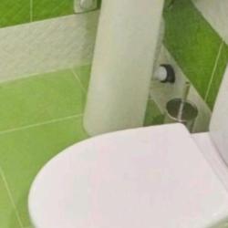 Фото Отель Белый лотос