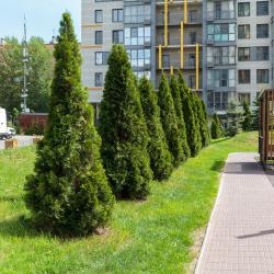 Фото Отель Comfort Home на улице Багрицкого 18 (Комфорт Хоум)