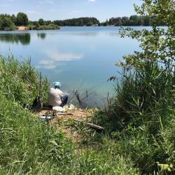 Фото Отель Гостевой дом Гридино village