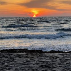 Фото Парк-отель Оленевка