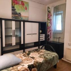 5 спальный коттедж 250 кв. м.