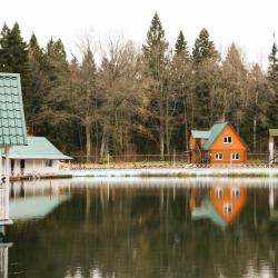 Фото Отель Лесная Сказка