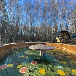 Фото Отель Дом в лесу с баней и чаном