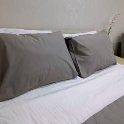 1-комнатные апартаменты студия