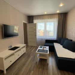 Фото Апартаменты President на улице Депутатская 55