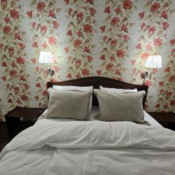 Фото Отель Шишкино-парк аэропорт Домодедово