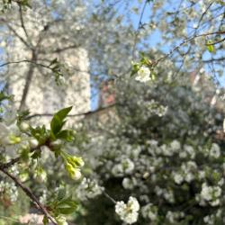 Фото Отель Горы Азии