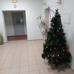Фото Отель Надежда