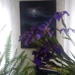 Фото Отель Камчатдар