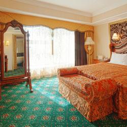 Фото Отель Diplomat Hotel & Business Center (Дипломат и Бизнес и Центр)