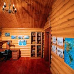 Фото Отель Дома в лесу