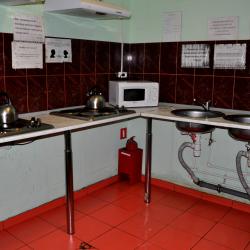фото 5 Вежливый Лось на Ботаническом саду
