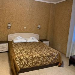 1-комнатный номер полулюкс с 1 двуспальной кроватью