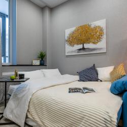 Апартаменты студия RoomyRoom Graf Orlov Studio