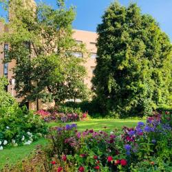 Фото Отель Санаторий Введенское