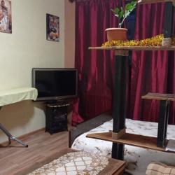 Фото Отель Live in comfort на улице Творчества 1 корпус 1