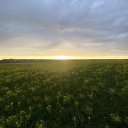 Фото Отель Барнхаус Сова