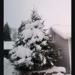 Фото Отель Морошка Хаус