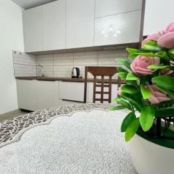 Фото Апартаменты на Южном шоссе