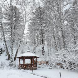 Фото Отель Каменный цветок