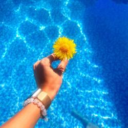 Фото Отель Дом