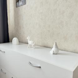 2-местные апартаменты студия