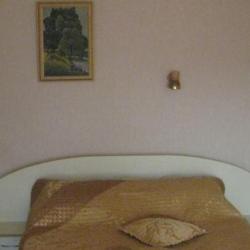 Фото Отель Лада