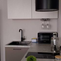 1-комнатные апартаменты студия