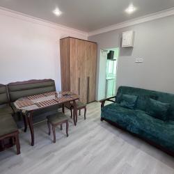 2-комнатные апартаменты стандарт Двухкомнатная квартира на ул. Гагарина д. 58, кв. 2 на компанию до 5 человек