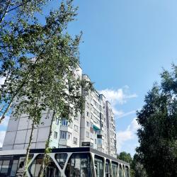 Апартаменты на проспекте Ленина 50 — 095c140f4af8ef1414feecdc298eea2a