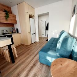 Фото Апартаменты на улице Интернациональная 197а