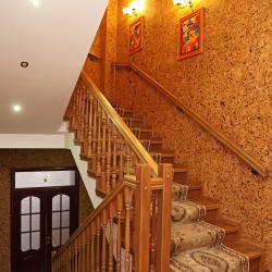 Фото Отель Гостевой дом Сосновый Бор