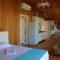 1-комнатные апартаменты люкс (мансарда)